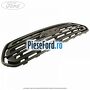 Grila radiator cu locas control viteza Ford Transit 2014-2018 2.0 EcoBlue 4x4 130 cp BKRA, YMR6, YMRA diesel