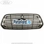 Grila radiator cu locas control viteza Ford Transit 2014-2018 2.0 EcoBlue 4x4 130 cp BKRA, YMR6, YMRA diesel