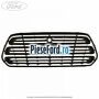 Grila radiator cu locas control viteza Ford Transit 2014-2018 2.2 TDCi 125 cp CY14, CYF5, CYFG, USF6 diesel | Foto 2
