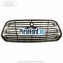 Grila radiator cu locas control viteza Ford Transit 2014-2018 2.2 TDCi RWD 100 cp DRR5 diesel