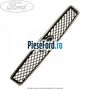 Grila radiator cu ornament cromat an 04/2003-10/2005 Ford Fusion 1.3 60 cp BAJA benzina