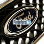 Grila radiator cu ornament cromat an 04/2003-10/2005 Ford Fusion 1.3 60 cp BAJA benzina