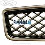 Grila radiator cu ornament cromat an 04/2003-10/2005 Ford Fusion 1.3 60 cp BAJA benzina