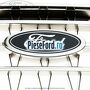 Grila radiator cu ornament cromat dupa 02/2008 Ford Ranger 2002-2006 2.5 TD 4x4 84 cp WL-T diesel