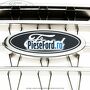 Grila radiator cu ornament cromat dupa 02/2008 Ford Ranger 2002-2006 2.5 TD 84 cp WL-T diesel
