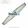 Grila radiator cu ornament cromat Ford Galaxy 2000-2006 1.9 TDI 115 cp AUY diesel