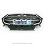 Grila radiator cu ornament satinat Ford EcoSport 2019-2023 1.0 EcoBoost 125 cp M1JC, M1JJ, M1JU benzina