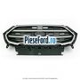 Grila radiator cu ornament satinat Ford EcoSport 2019-2023 1.0 EcoBoost 140 cp YYJD, YYJF benzina
