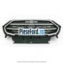 Grila radiator cu ornament satinat Ford EcoSport 2019-2023 1.5 TDCi EcoBlue 125 cp ZTJA, ZTJB, ZTJC diesel