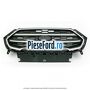 Grila radiator cu ornament satinat Ford EcoSport 2019-2023 1.5 TDCi EcoBlue 4x4 125 cp ZTJA, ZTJB, ZTJC diesel