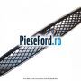 Grila radiator cu rama crom Ford Fusion 1.4 TDCi 68 cp F6JA, F6JB diesel