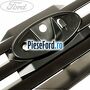 Grila radiator dupa 04/2009, negru Ford Tourneo Connect 2002-2014 1.8 Di 75 cp BHPA, P7PA, P7PB, R2PA diesel