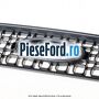 Grila radiator dupa 09/2005 Ford Fusion 1.3 60 cp BAJA benzina | Foto 2