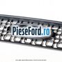 Grila radiator dupa 09/2005 Ford Fusion 1.6 TDCi 90 cp HHJA, HHJB diesel | Foto 2