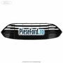 Grila radiator Ford B-Max 1.5 TDCi 75 cp UGJC, UGJG, XUJA, XUJB diesel