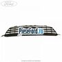 Grila radiator Ford C-Max 2007-2011 1.6 TDCi 101 cp G8DC, MTDA diesel | Foto 2