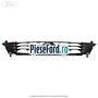 Grila radiator Ford Fiesta 1996-2001 1.25 i 16V 75 cp DHA, DHB, DHC, DHD, DHE, DHF benzina