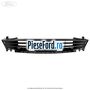 Grila radiator Ford Fiesta 1996-2001 1.25 i 16V 75 cp DHA, DHB, DHC, DHD, DHE, DHF benzina | Foto 2