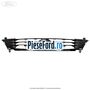 Grila radiator Ford Fiesta 1996-2001 1.3 i 50 cp JJA, JJC, JJE, JJJ, JJK, JJM benzina
