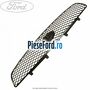 Grila radiator Ford Fiesta 1996-2001 1.8 D 60 cp RTJ, RTK diesel