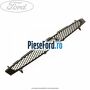 Grila radiator Ford Fiesta 2002-2005 1.4 16V 80 cp FXJA, FXJB benzina