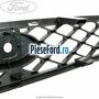 Grila radiator Ford Focus 1998-2004 RS 215 cp HMDA benzina