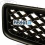 Grila radiator Ford Fusion 1.6 100 cp FYJA, FYJB, FYJC benzina