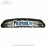 Grila radiator Ford Mustang, editie 50 ani Ford Mustang 2015-2018 2.3 EcoBoost 314 cp N38H, N48H benzina