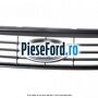 Grila radiator gri Ford Focus 2008-2011 1.4 80 cp ASDA, ASDB benzina | Foto 4