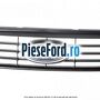 Grila radiator gri Ford Focus 2008-2011 2.0 145 cp AODA, AODB, AODE, SYDA benzina | Foto 4