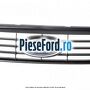 Grila radiator gri Ford Focus 2008-2011 2.0 TDCi 110 cp IXDA diesel | Foto 4