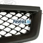Grila radiator gri inchis Ford Focus 2004-2007 1.6 TDCi 109 cp G8DA, G8DB, G8DD, G8DE, G8DF diesel