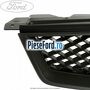 Grila radiator gri inchis Ford Focus 2004-2007 1.8 TDCi 115 cp KKDA diesel | Foto 4