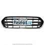 Grila radiator model Active Ford Tourneo Custom 2019-2023 1.0 EcoBoost PHEV 125 cp M1FA Hybrid