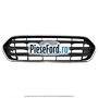 Grila radiator model Active Ford Tourneo Custom 2019-2023 2.0 EcoBlue 105 cp BJFA, BJFB, YLF6, YLFA, YLFB, YLFS diesel