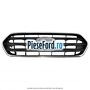 Grila radiator model Active Ford Tourneo Custom 2019-2023 2.0 EcoBlue 150 cp P0FA diesel