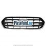 Grila radiator model Active Ford Tourneo Custom 2019-2023 2.0 EcoBlue 185 cp BCFA, BCFB diesel