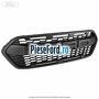 Grila radiator model Ford Raptor Ford Tourneo Custom 2019-2023 2.0 EcoBlue 150 cp P0FA diesel