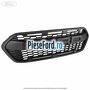 Grila radiator model Ford Raptor Ford Tourneo Custom 2019-2023 2.0 EcoBlue mHEV 130 cp BKFC, BKFD Hybrid