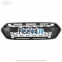 Grila radiator model Ford Raptor Ford Tourneo Custom 2019-2023 2.0 EcoBlue mHEV 130 cp BKFC, BKFD Hybrid | Foto 2