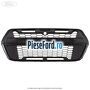 Grila radiator model Ford Raptor Ford Transit 2019-2023 2.0 EcoBlue 185 cp BCFB diesel