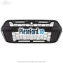 Grila radiator model Ford Raptor Ford Transit 2019-2023 2.0 EcoBlue mHEV RWD 130 cp BKRB Hybrid