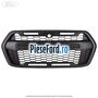 Grila radiator model Ford Raptor Ford Transit 2019-2023 2.0 EcoBlue RWD 170 cp BLHA, BLRA, YNHA, YNR6 diesel | Foto 2