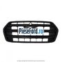 Grila radiator model standard 2 Ford Transit 2019-2023 2.0 EcoBlue RWD 105 cp BJRA, YLR6, YLRA diesel