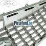 Grila radiator Platinum Silver an 02/2007-09/2010 Ford Mondeo 2008-2014 2.0 TDCi 140 cp QXBA, QXBB, UFBA, UFBB diesel