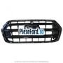 Grila radiator prevazuta cu ornament cromat Ford Transit 2019-2023 2.0 EcoBlue 105 cp BJFA, BJFB, YLF6, YLFA, YLFB, YLFS diesel