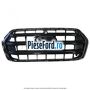 Grila radiator prevazuta cu ornament cromat Ford Transit 2019-2023 2.0 EcoBlue mHEV 150 cp P0FB Hybrid