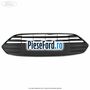 Grila radiator standard Ford B-Max 1.0 EcoBoost 100 cp SFJA, SFJB, SFJC, SFJD benzina