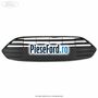Grila radiator standard Ford B-Max 1.4 90 cp SPJD, SPJE benzina