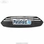 Grila radiator standard Ford B-Max 1.6 TDCi 95 cp T3JB diesel